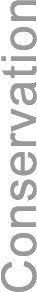 25%